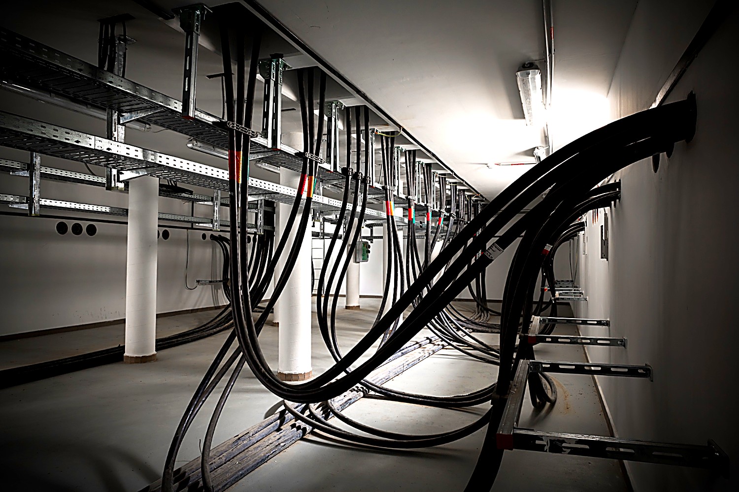 Armoured cables run on ladder tray through a plant room